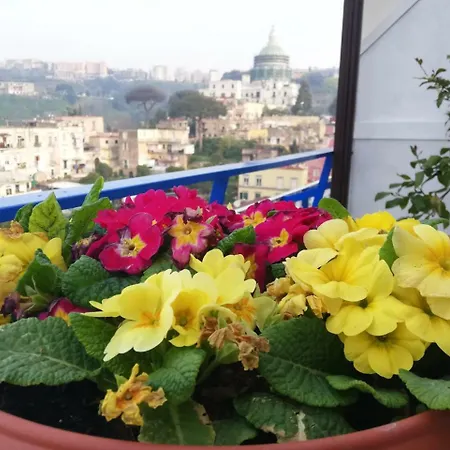 Di Palma Museum Guest house